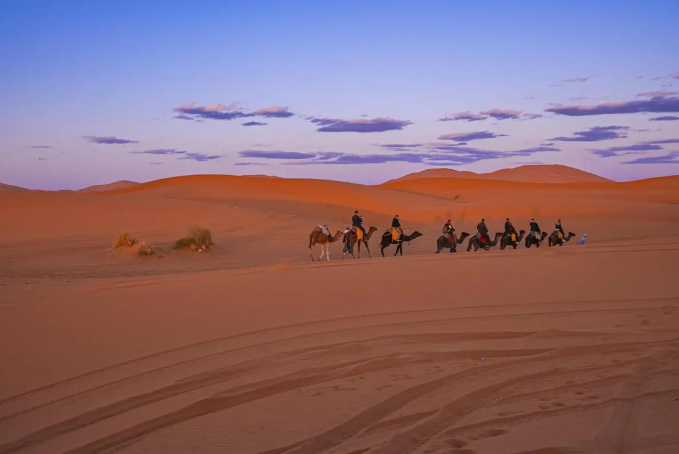 6-Day Fes to Desert Merzouga & Marrakech Tour