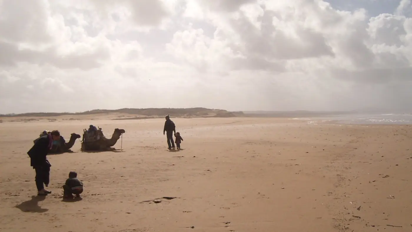 15-Day Casablanca to Imperial Cities, Coast & Sahara Desert — Coastal Beach Camels