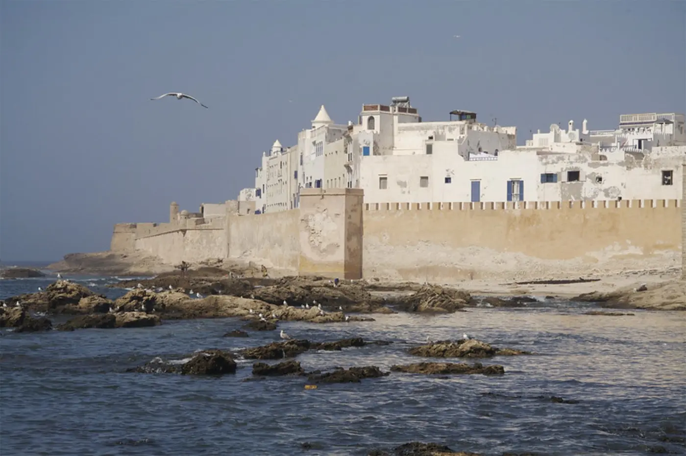 Coastal & Ocean Excursions