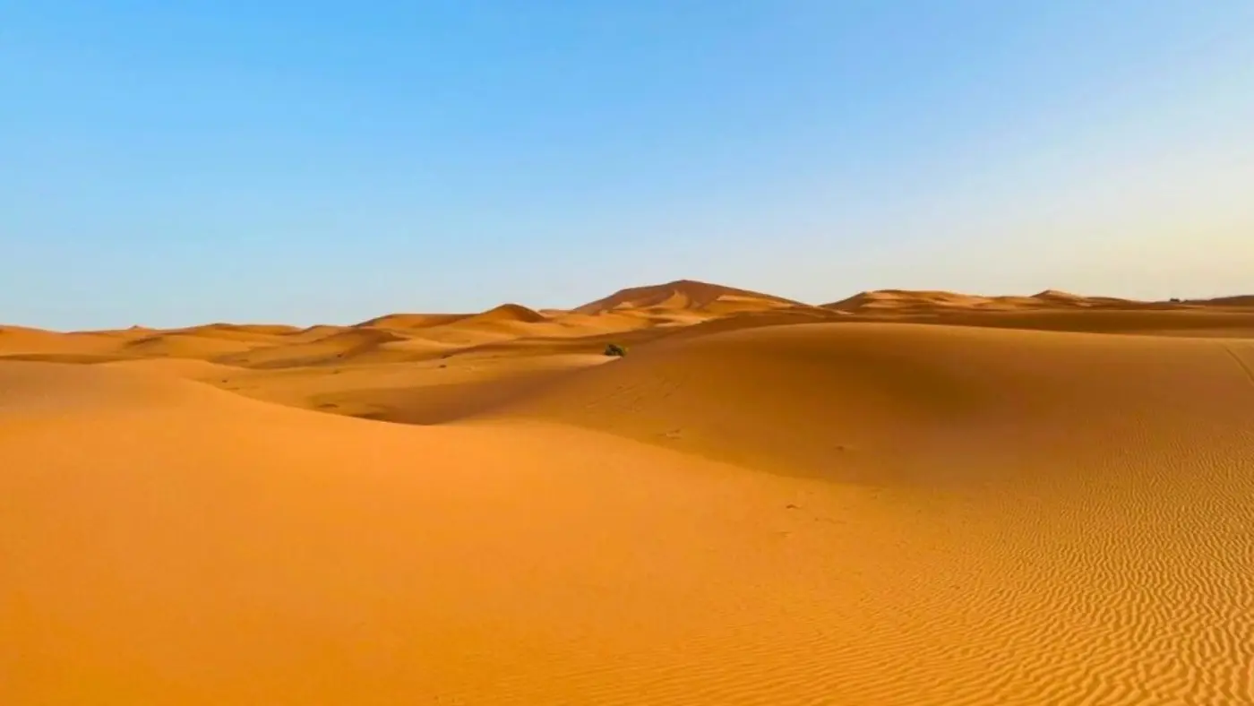 12-Day South Morocco Atlantic & Desert Camel Tracks