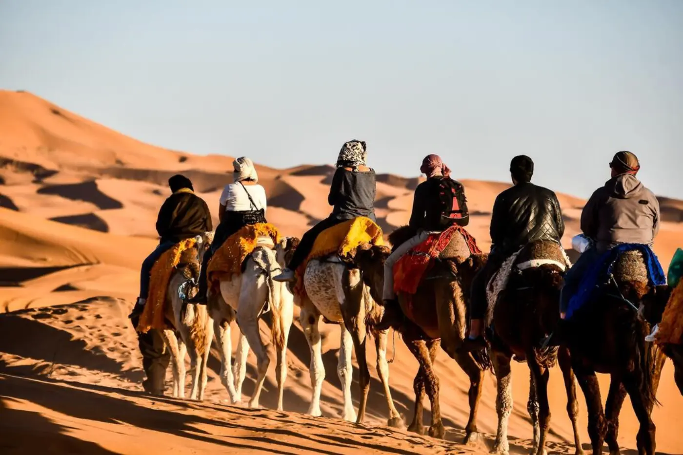 Group Tours of Morocco
